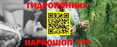 амф Дубна