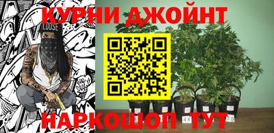 стаф Донской