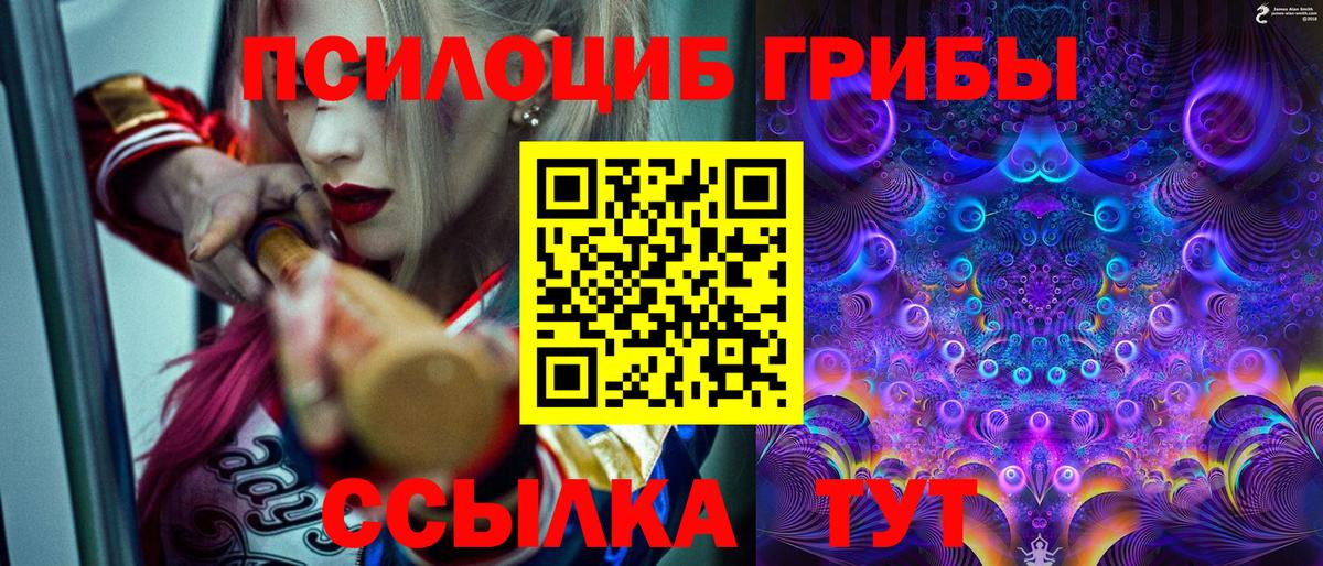 Галлюциногенные грибы мухоморы  Галлюциногенные грибы MAGIC MUSHROOMS  Вход с VPN  Моршанск 